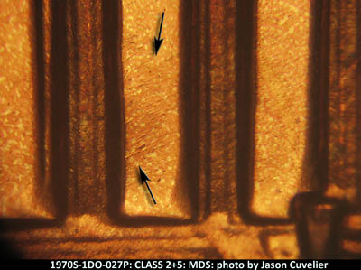 Die-stage B marker on 1970S•1DO•027P (1970 Doubled Die Obverse).