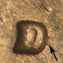 Pre-attribution photo for 1974D•1MM•003