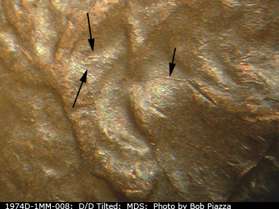 Die-stage B marker on 1974D•1MM•008 (1974 Repunched Mint Mark).