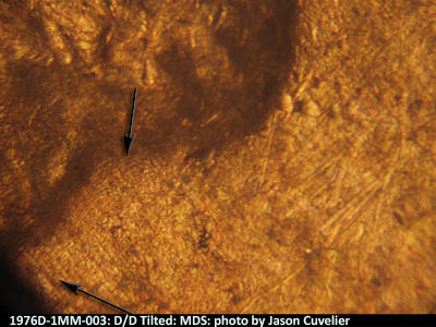 Die-stage B marker on 1976D•1MM•003 (1976 Repunched Mint Mark).