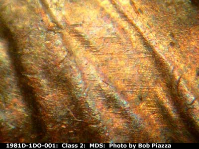 Die-stage B marker on 1981D•1DO•001 (1981 Doubled Die Obverse).