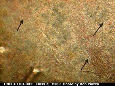 Die-stage B marker on 1981D•1DO•001 (1981 Doubled Die Obverse).