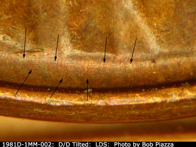 Die-stage C marker on 1981D•1MM•002 showing Light concentric die scratches between bust and rim.