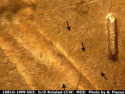 Die-stage B marker on 1981D•1MM•003 (1981 Repunched Mint Mark).