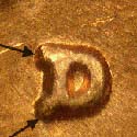 Pre-attribution image for 1981D•1MM•003