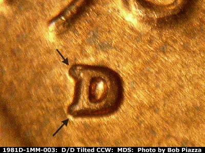 1981 Lincoln cent obverse, CopperCoins die 1981D•1MM•004.