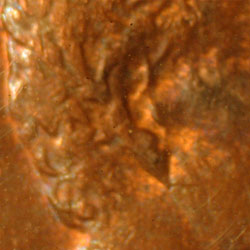 Pre-attribution image for 1983D•1DO•007