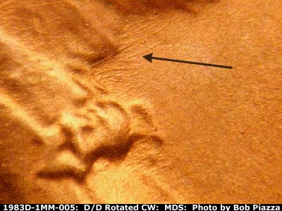 Die-stage B marker on 1983D•1MM•005 (1983 Repunched Mint Mark).