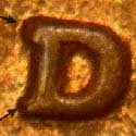 Pre-attribution photo for 1984D•1MM•005