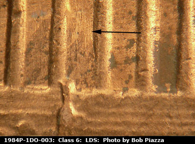 Die-stage C marker on 1984P•1DO•003 (1984 Doubled Die Obverse).