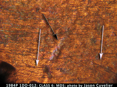 Die-stage B marker on 1984P•1DO•012 (1984 Doubled Die Obverse).