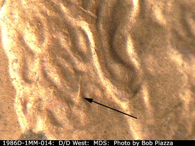 Die-stage B marker on 1986D•1MM•014 (1986 Repunched Mint Mark).