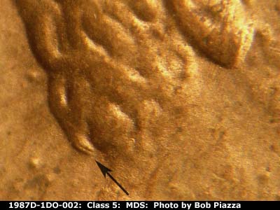 Die-stage B marker on 1987D•1DO•002 (1987 Doubled Die Obverse).