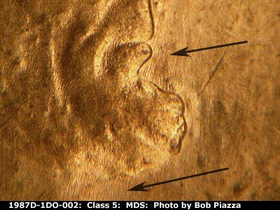 Die-stage B marker on 1987D•1DO•002 (1987 Doubled Die Obverse).
