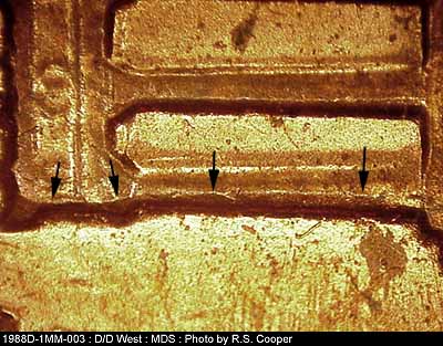 Die-stage B marker on 1988D•1MM•003 (1988 Repunched Mint Mark).