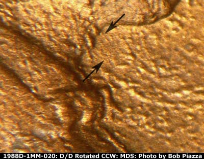 Die-stage B marker on 1988D•1MM•020 (1988 Repunched Mint Mark).