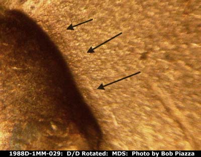 Die-stage B marker on 1988D•1MM•029 (1988 Repunched Mint Mark).