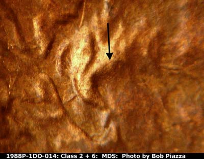 Die-stage B marker on 1988P•1DO•014 (1988 Doubled Die Obverse).