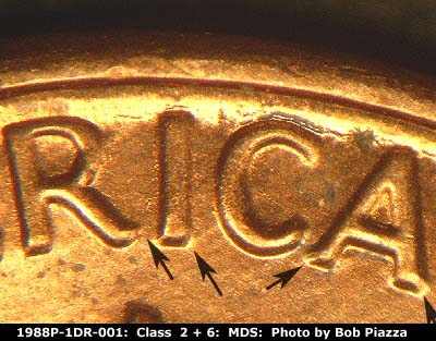 1988 Lincoln cent obverse, CopperCoins die 1988P•1DR•001.