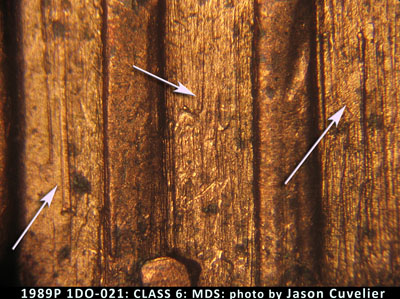 Die-stage B marker on 1989P•1DO•021 (1989 Doubled Die Obverse).