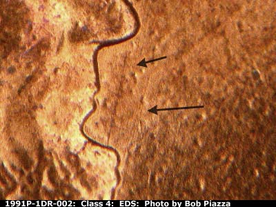 Die-stage A marker on 1991P•1DR•002 (1991 Doubled Die Reverse).