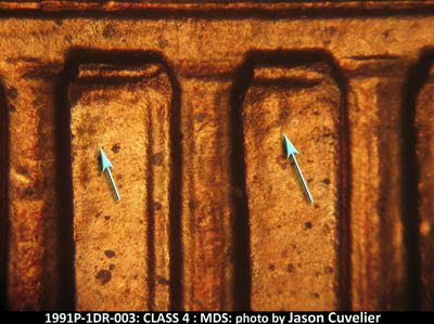 Die-stage B marker on 1991P•1DR•003 (1991 Doubled Die Reverse).