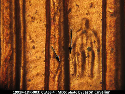 Die-stage B marker on 1991P•1DR•003 (1991 Doubled Die Reverse).