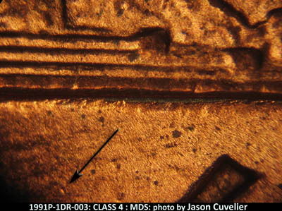 Die-stage B marker on 1991P•1DR•003 (1991 Doubled Die Reverse).