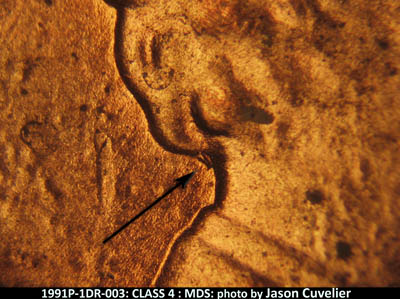 Die-stage B marker on 1991P•1DR•003 (1991 Doubled Die Reverse).