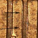 Pre-attribution image for 1993D•1DR•005