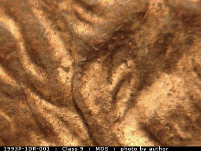 Die-stage B marker on 1993P•1DR•001 (1993 Doubled Die Reverse).