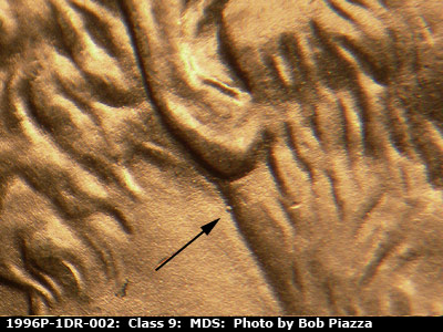 Die-stage B marker on 1996P•1DR•002 (1996 Doubled Die Reverse).