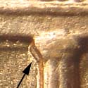 Pre-attribution photo for 1998D•1DR•001