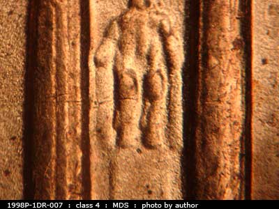 1998 Lincoln cent obverse, CopperCoins die 1998P•1DR•007.