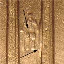 Pre-attribution image for 1999D•1DR•002