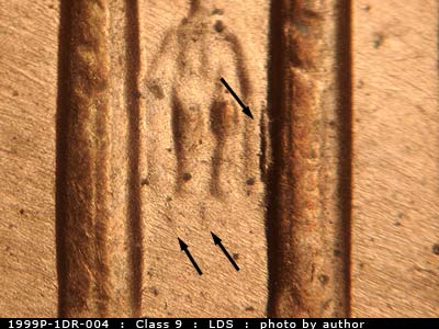 Die-stage C marker on 1999P•1DR•004 (1999 Doubled Die Reverse).