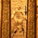 Pre-attribution image for 1999P•1DR•018