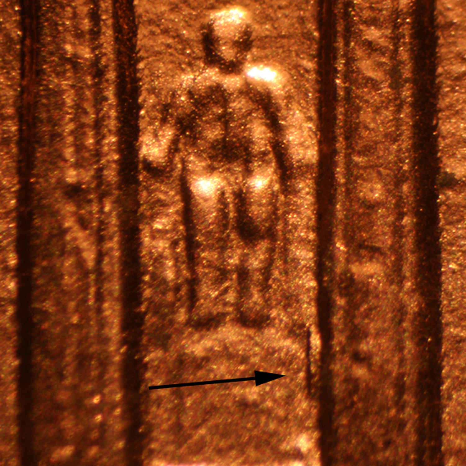Pre-attribution image for 1999P•1DR•025