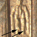 Pre-attribution image for 2000P•1DR•005