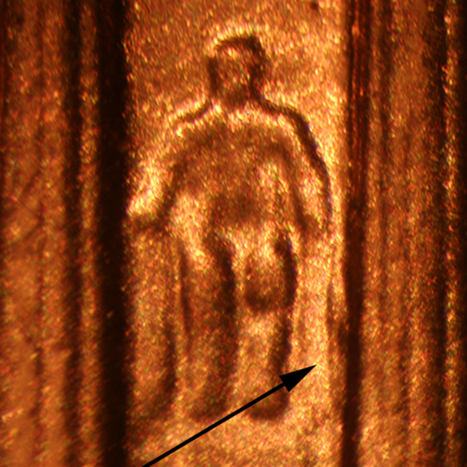 Pre-attribution image for 2001D•1DR•008