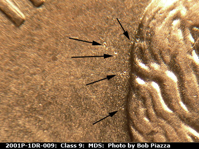 Die-stage B marker on 2001P•1DR•009 (2001 Doubled Die Reverse).