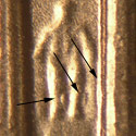 Pre-attribution image for 2001P•1DR•009
