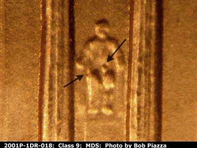 2001 Lincoln cent obverse, CopperCoins die 2001P•1DR•018.