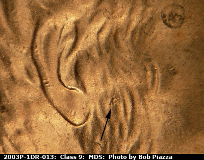 Die-stage B marker on 2003P•1DR•013 (2003 Doubled Die Reverse).