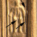 Pre-attribution image for 2003P•1DR•013