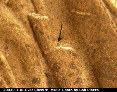 Die-stage B marker on 2003P•1DR•021 (2003 Doubled Die Reverse).