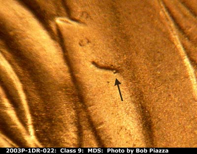 Die-stage B marker on 2003P•1DR•022 (2003 Doubled Die Reverse).