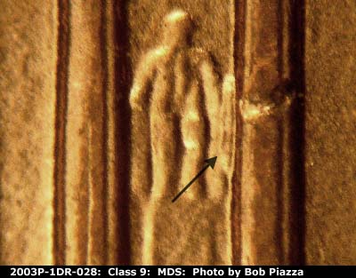 2003 Lincoln cent obverse, CopperCoins die 2003P•1DR•028.
