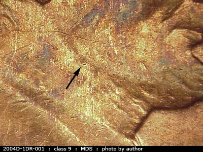 Die-stage B marker on 2004D•1DR•001 (2004 Doubled Die Reverse).