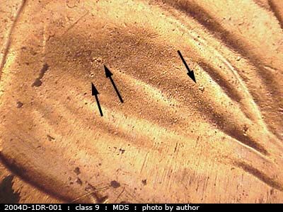 Die-stage B marker on 2004D•1DR•001 (2004 Doubled Die Reverse).